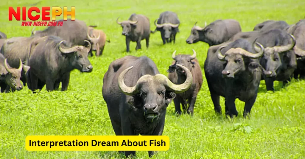 Interpretation Dreams About Buffalo