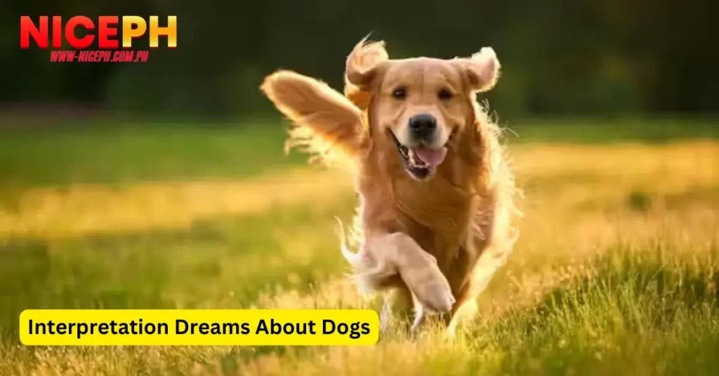 Interpretation Dreams About Dogs