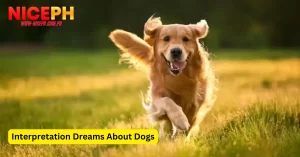 Interpretation Dreams About Dogs