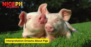 Interpretation Dreams About Pigs – Find Your Lucky Numbers?