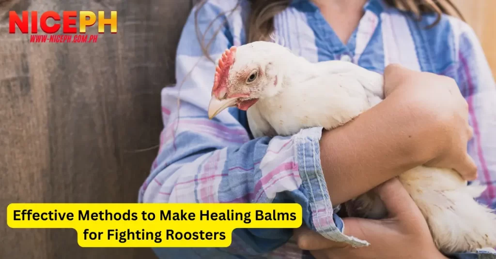 Make Healing Balms for Fighting Roosters