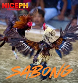 Sabong at NicePH